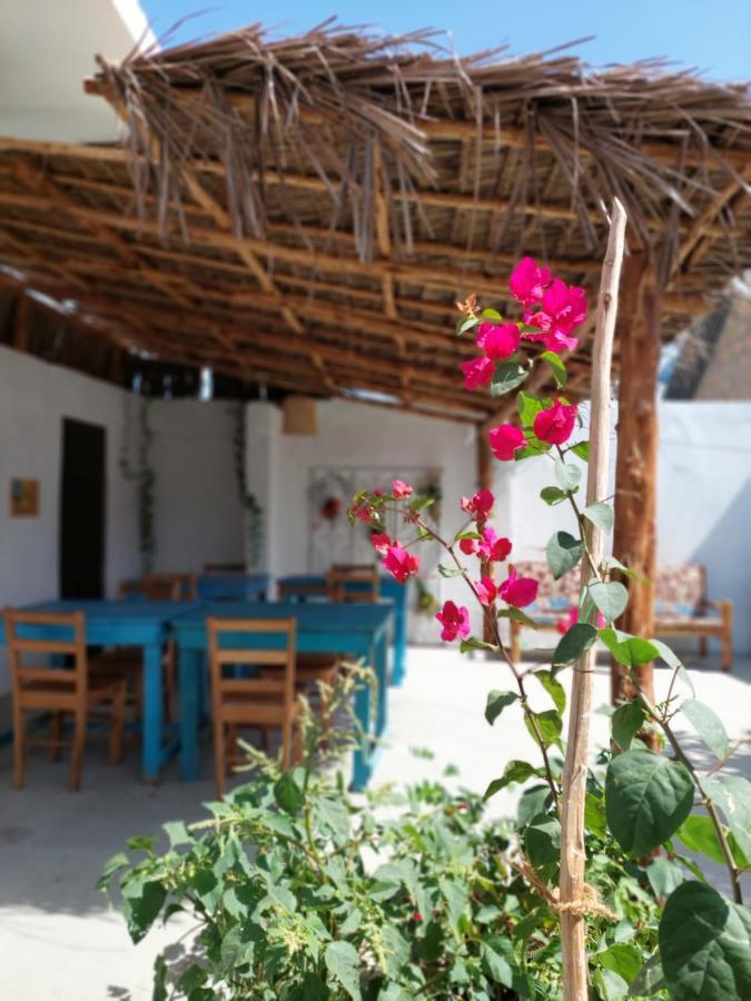 Karibu House Bed & Breakfast Paje Exterior foto